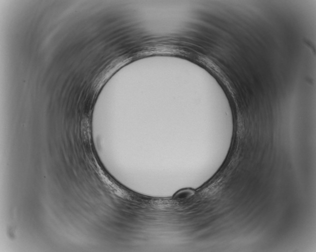 X0000100321433200806261216