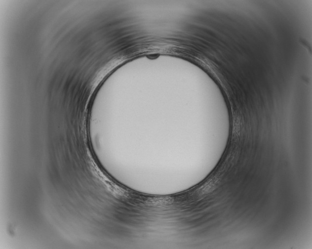 X0000100321434200806261216