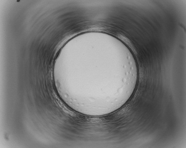 X0000100321436200806261216