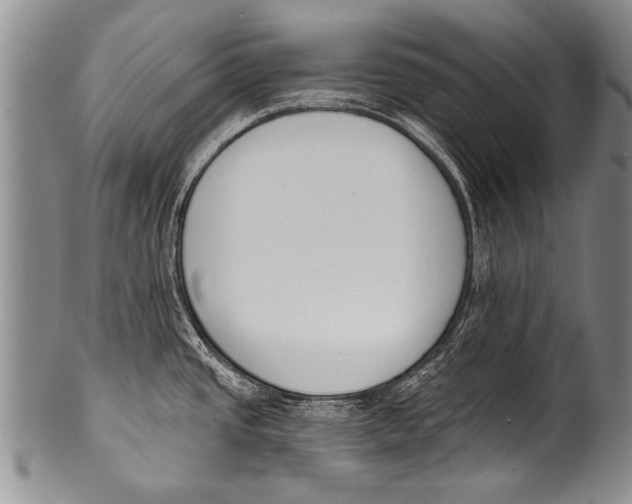 X0000100321437200806261216