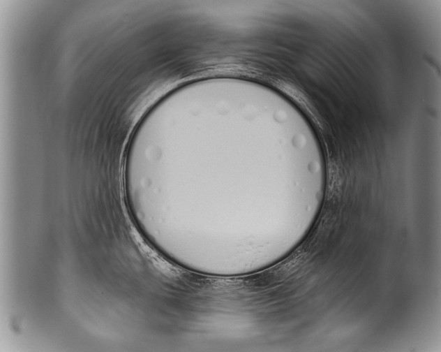 X0000100321439200806261216