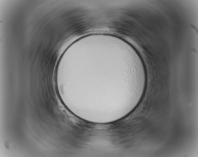 X0000100321440200806261216