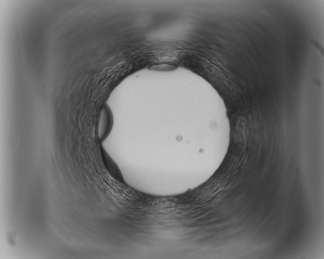 X0000100321441200806261215