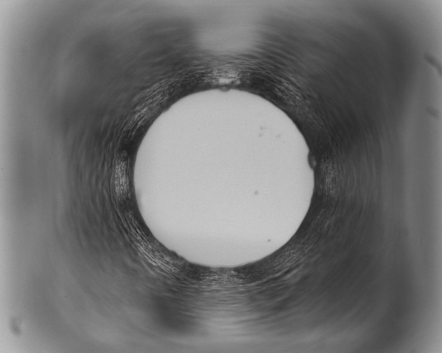 X0000100321442200806261215