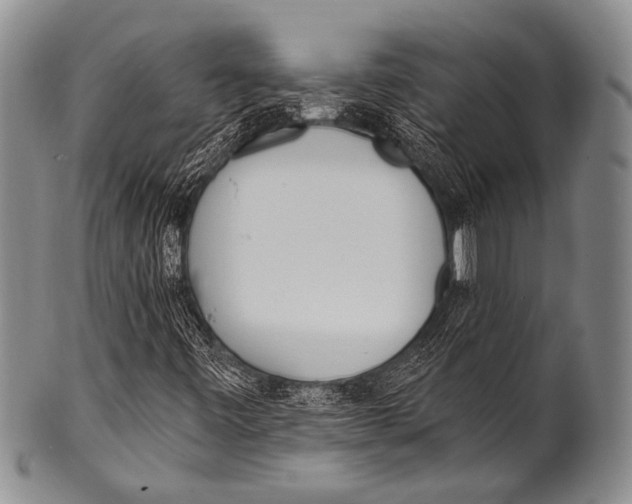 X0000100321443200806261215