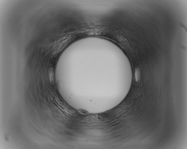 X0000100321444200806261215