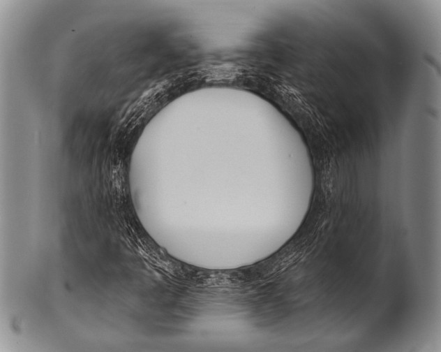 X0000100321445200806261215