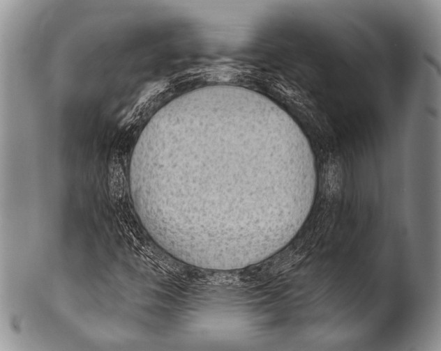 X0000100321446200806261215