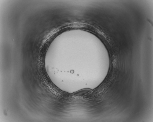 X0000100321448200806261215