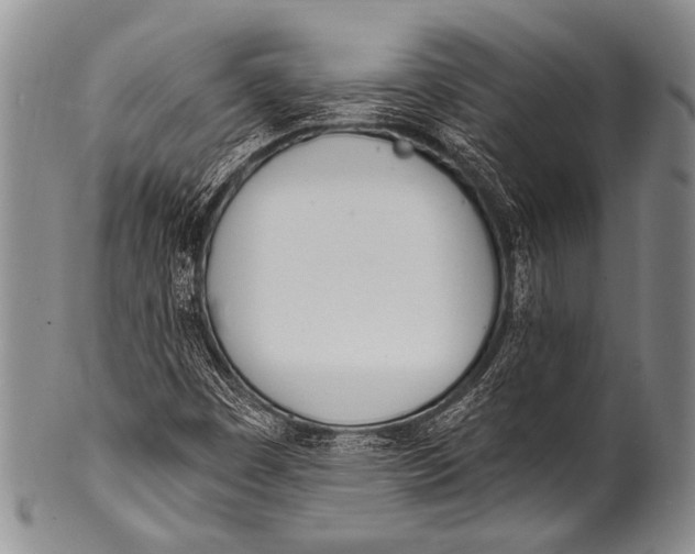 X0000100321449200806261215