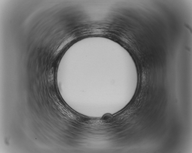 X0000100321450200806261215