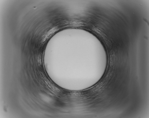 X0000100321451200806261215