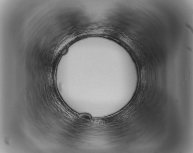 X0000100321452200806261215