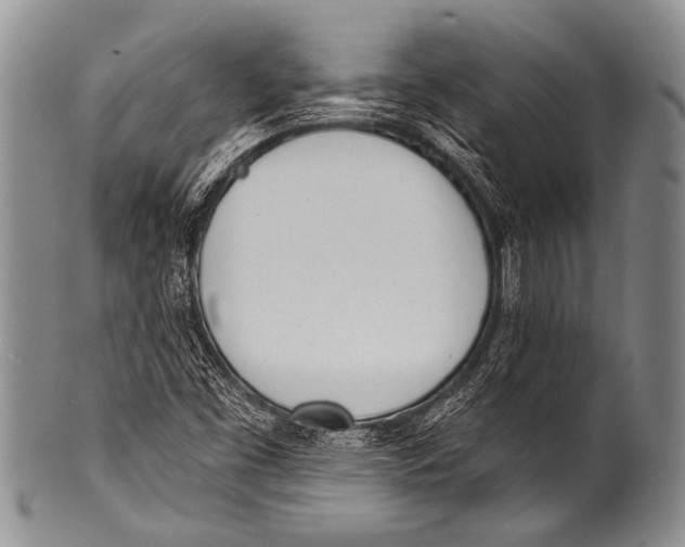 X0000100321453200806261215