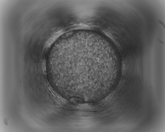 X0000100321455200806261215