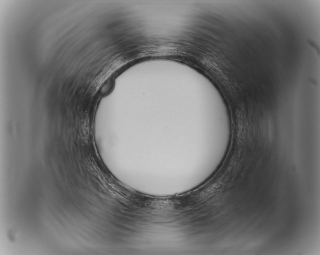 X0000100321457200806261215