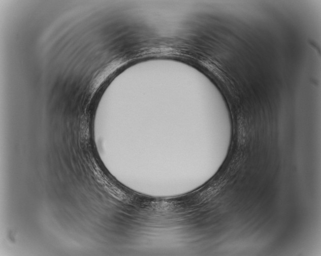 X0000100321458200806261215