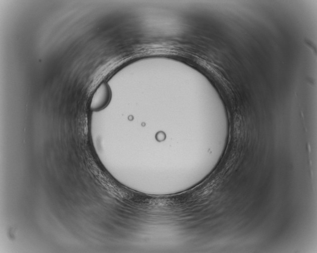 X0000100321461200806261215