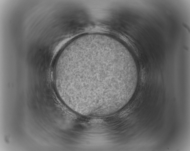 X0000100321462200806261215