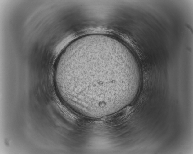 X0000100321463200806261215