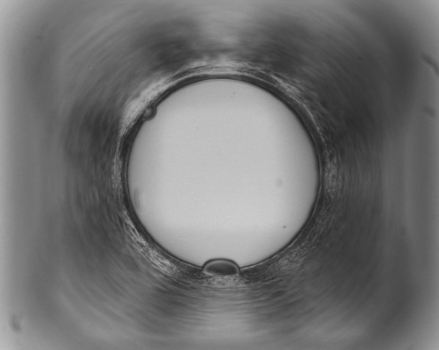 X0000100321464200806261215