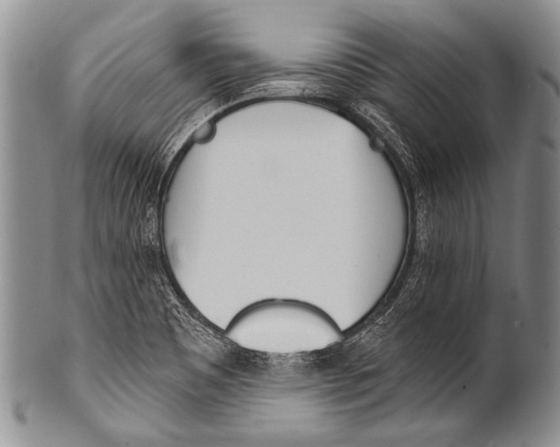 X0000100321465200806261215