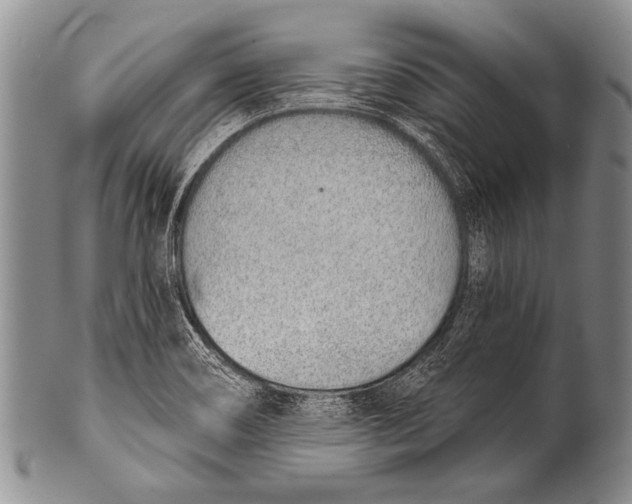 X0000100321466200806261215