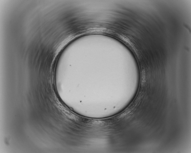 X0000100321467200806261215