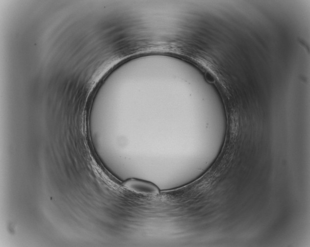 X0000100321468200806261215