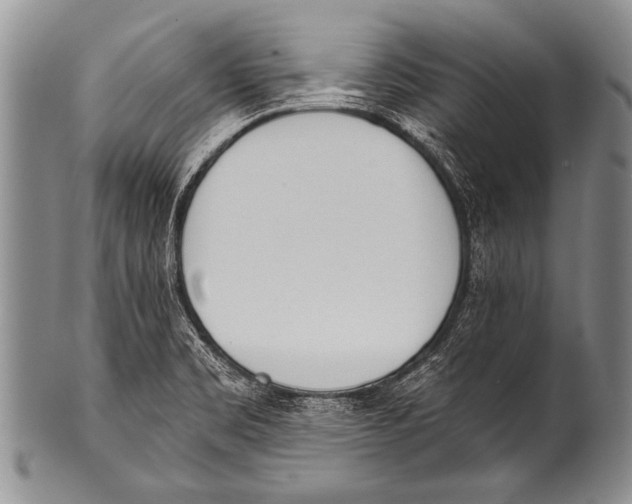 X0000100321469200806261215