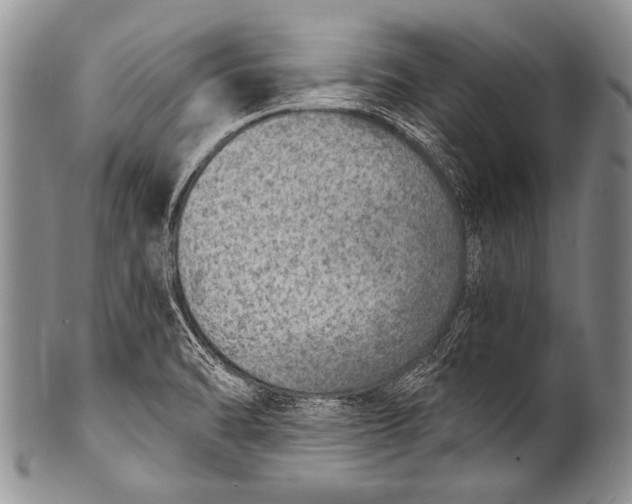 X0000100321470200806261215