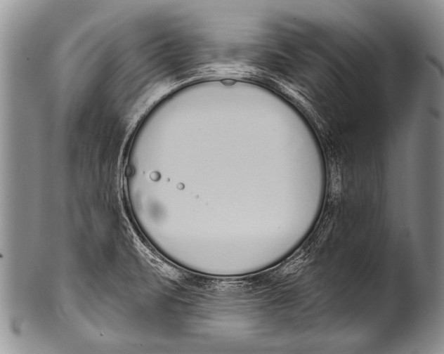 X0000100321471200806261215