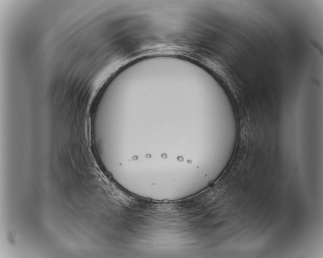 X0000100321472200806261215