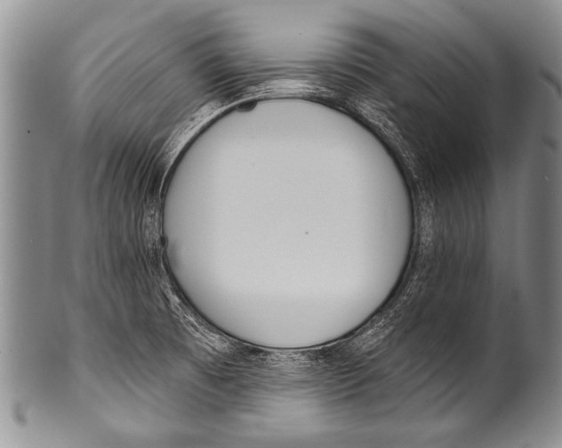 X0000100321473200806261215