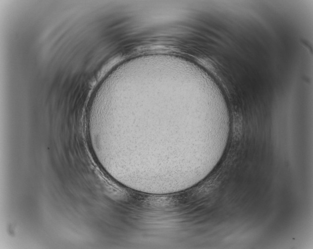 X0000100321474200806261215