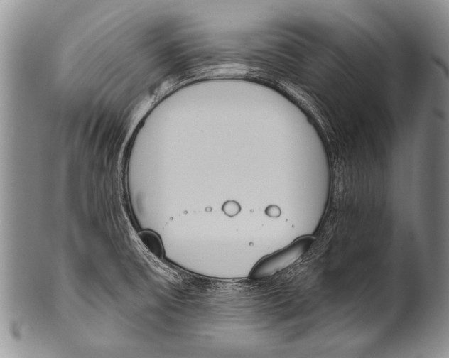 X0000100321475200806261215