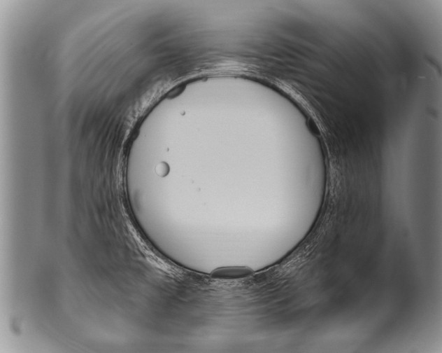 X0000100321477200806261215