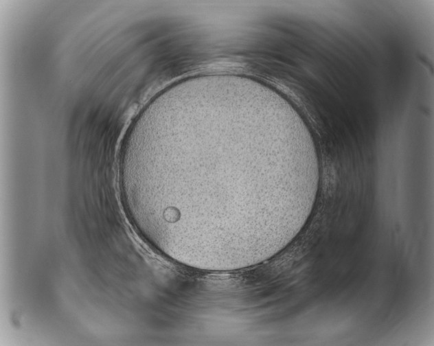 X0000100321478200806261215