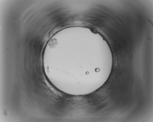 X0000100321479200806261215