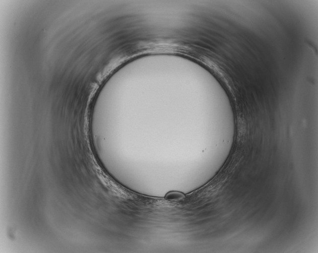 X0000100321480200806261215