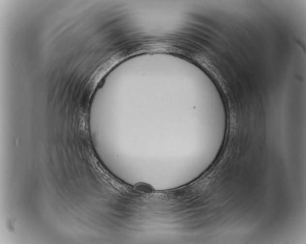 X0000100321481200806261214