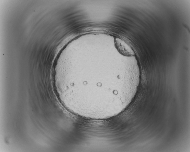 X0000100321482200806261214