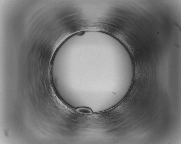 X0000100321484200806261214