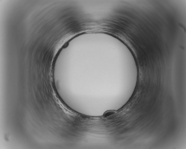 X0000100321485200806261214