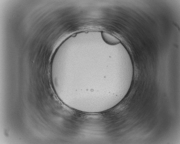 X0000100321486200806261214