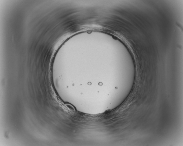 X0000100321488200806261214