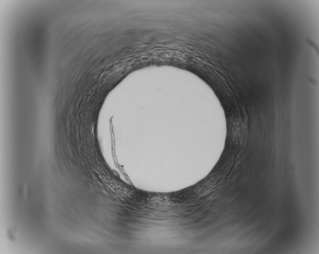 X0000100321489200806261213