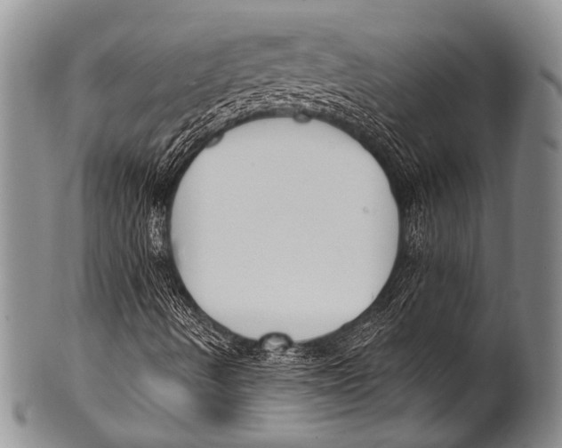 X0000100321490200806261214