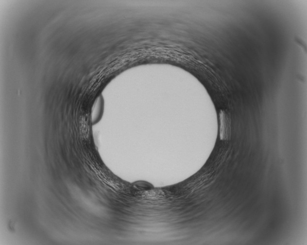 X0000100321491200806261214