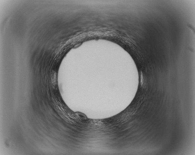 X0000100321492200806261214